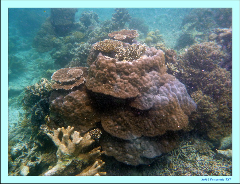 2009    07    Manatabuan 19